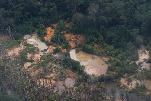 Áreas de garimpo ilegal na Terra Indígena Yanomami vistas em sobrevoo ao longo do rio Mucajaí.