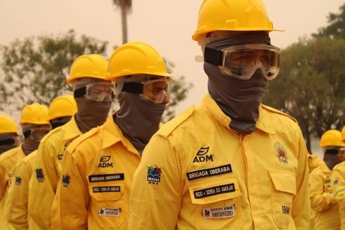 Brigadistas indígenas de uniformes amarelos, óculos e capacetes de segurança.